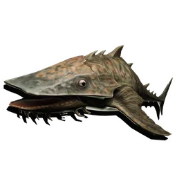 Shovelnose fish render