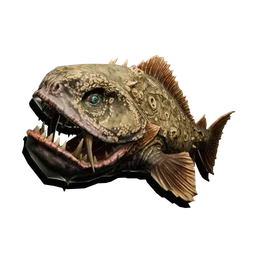 Stonegnawer fish render