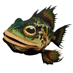 Toadling fish render
